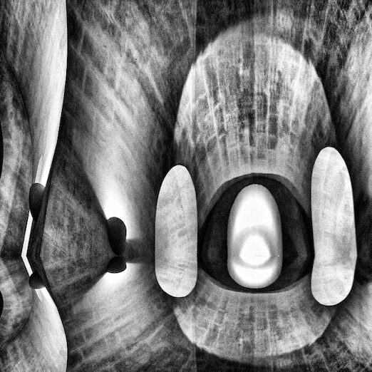 Formes organiques gravées, noir et blanc